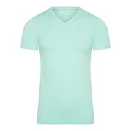 RJ PURE COLOR Heren shirt met V-Hals - Mint