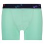 RJ-Pure-Color-short-Mint