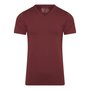 RJ-PURE-COLOR-Heren-shirt-met-V-Hals-Port