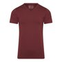 RJ-PURE-COLOR-Heren-shirt-met-V-Hals-Port